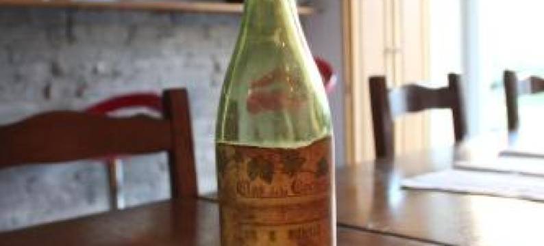 贝松城堡住宿加早餐旅馆(Château Besson)图片