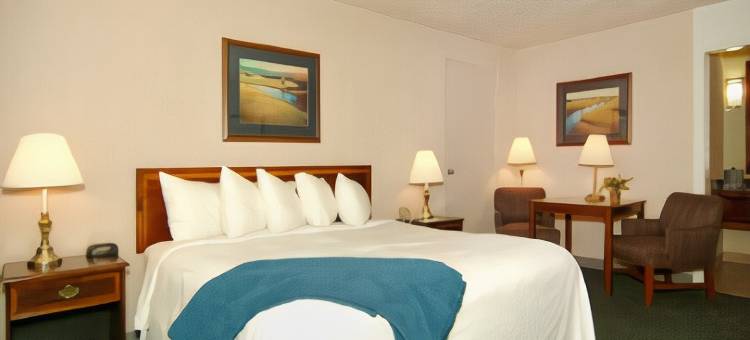 伯利贝斯特韦斯特优质酒店及会议中心(Best Western Plus Burley Inn  Convention Center)图片