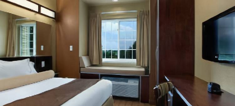 塞尔麦客达套房酒店(Microtel Inn & Suites by Wyndham Sayre)图片