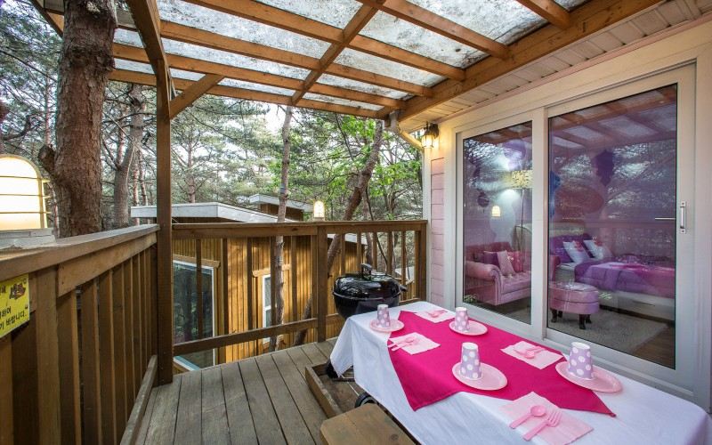 Couplestar in Forest Glamping Hotel Overview