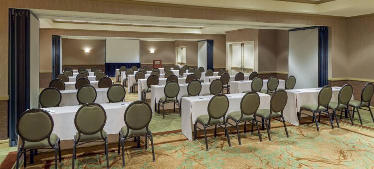 达拉斯市场中心喜来登套房酒店(Sheraton Suites Market Center Dallas)图片