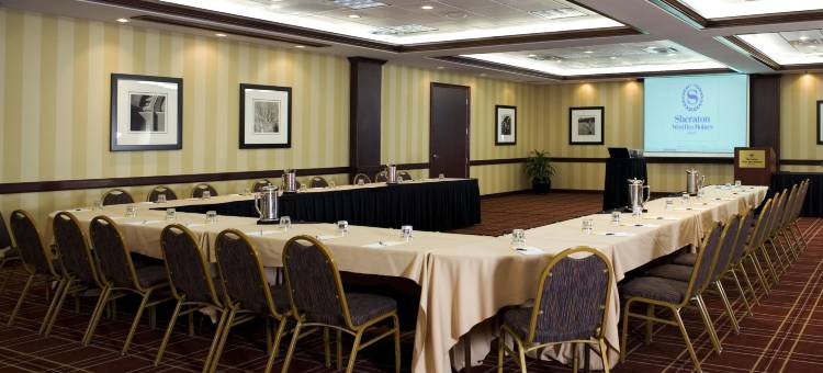 西德梅茵喜来登酒店(Sheraton West des Moines Hotel)图片