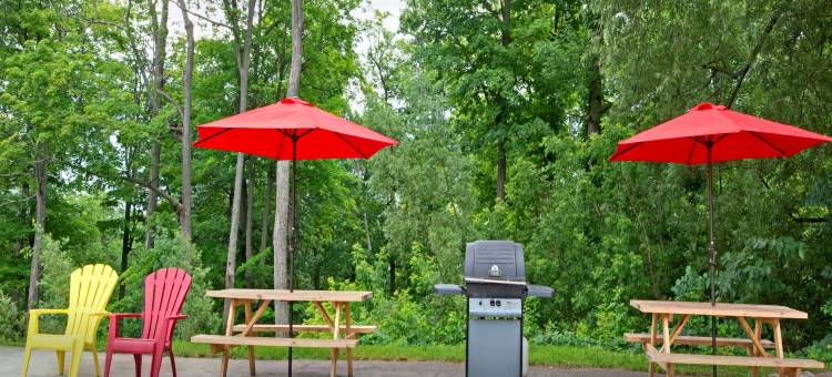 美德兰骑士酒店(Knights Inn - Park Villa Motel, Midland)图片