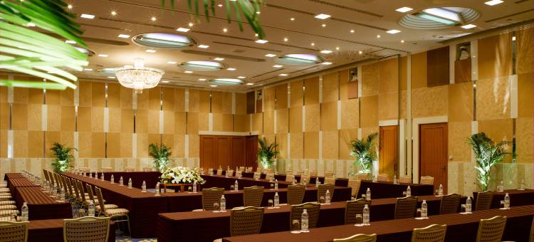 日航国际酒店(Hotel Nikko Narita)图片