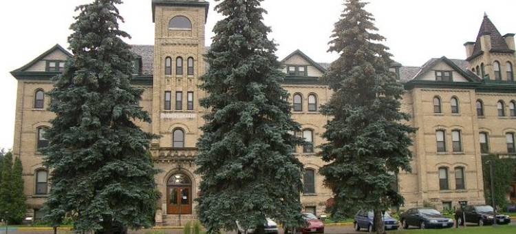 舒适酒店(Comfort Inn)图片