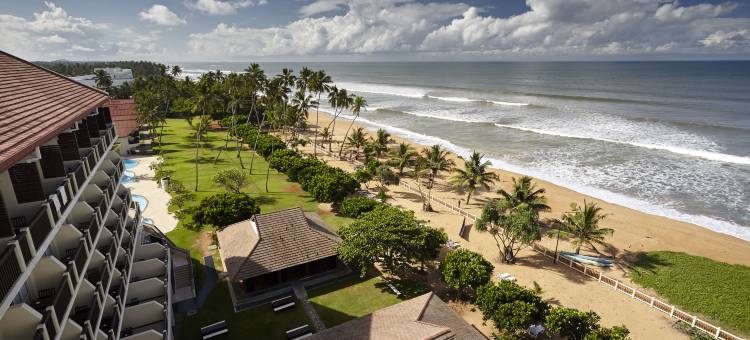 谛乐雅·卡卢特勒(Turyaa Kalutara)图片