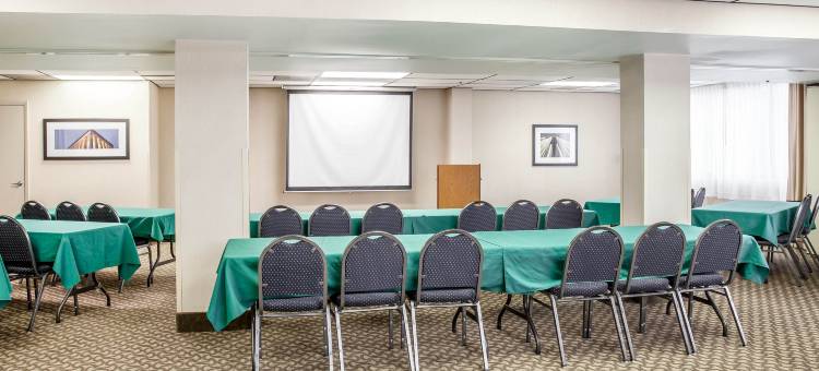 亚历山德里亚西部舒适酒店及套房(Comfort Inn & Suites Alexandria West)图片