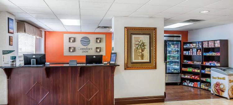 北圣彼得堡舒适酒店(Comfort Inn St Petersburg North)图片