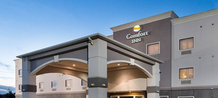 厄尔利布朗伍德舒适酒店(Comfort Inn Early Brownwood)图片