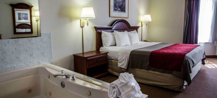 日内瓦西芝加哥舒适套房酒店(Comfort Inn & Suites Geneva- West Chicago)图片