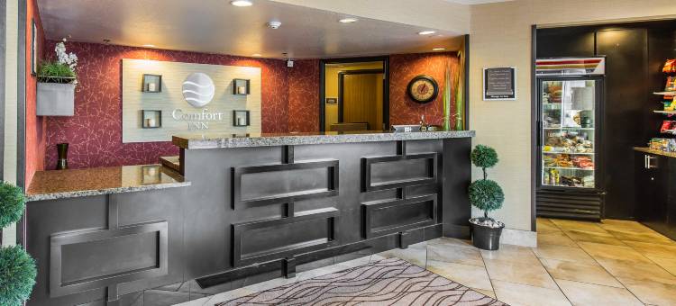 盐湖城雷顿舒适酒店(Comfort Inn Layton - Salt Lake City)图片