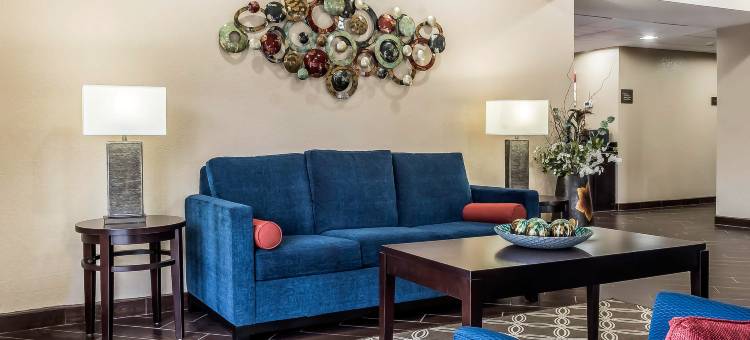 舒适套房酒店-塔拉哈西市区(Comfort Suites Tallahassee Downtown)图片