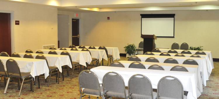 纽瓦克哈里森舒适套房酒店(Comfort Suites Newark - Harrison)图片