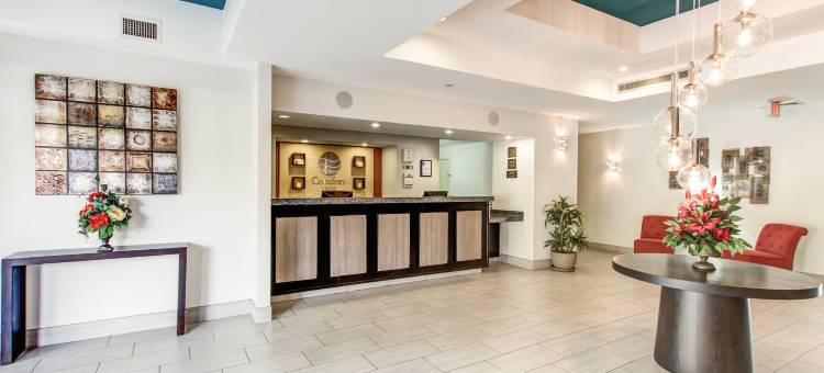 钱德勒-菲尼克斯南I-10舒适酒店(Comfort Inn Chandler - Phoenix South I-10)图片