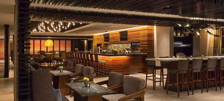 芝加哥壮丽大道凯悦尚萃酒店(Hyatt Centric Chicago Magnificent Mile)图片