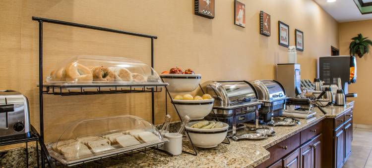 康乃迪克诺格塔克谢尔顿舒适酒店(Comfort Inn Naugatuck-Shelton, CT)图片