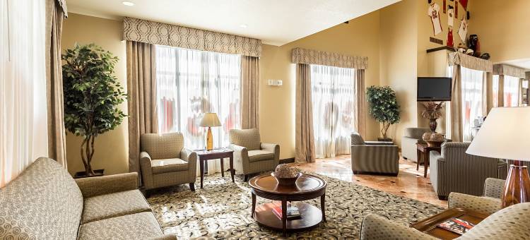 琼斯伯勒大学区舒适套房酒店(Comfort Suites Jonesboro University Area)图片