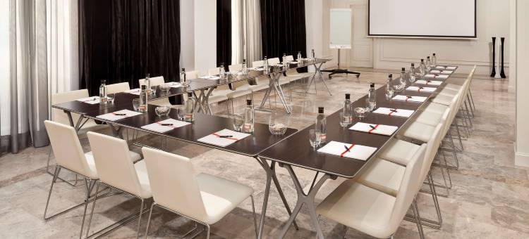 马德里公爵府盛美利亚酒店(Palacio de Los Duques Gran Meliá)图片