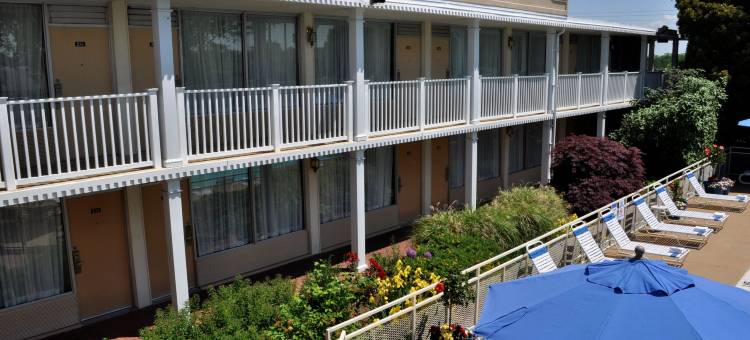 弗雷德里克斯堡贝斯特韦斯特酒店(Best Western Fredericksburg)图片