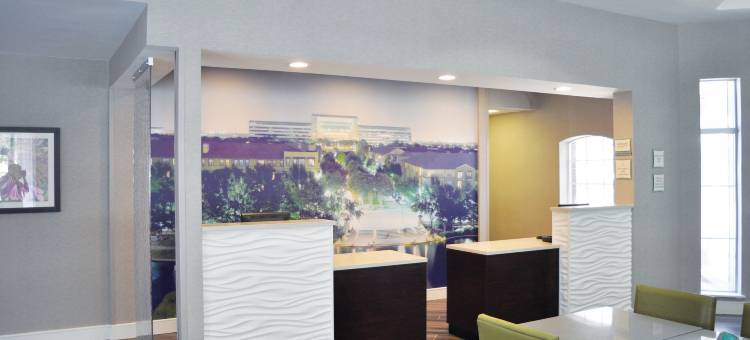 达拉斯普莱诺西拉昆塔温德姆套房酒店(La Quinta Inn & Suites by Wyndham Dallas Plano West)图片