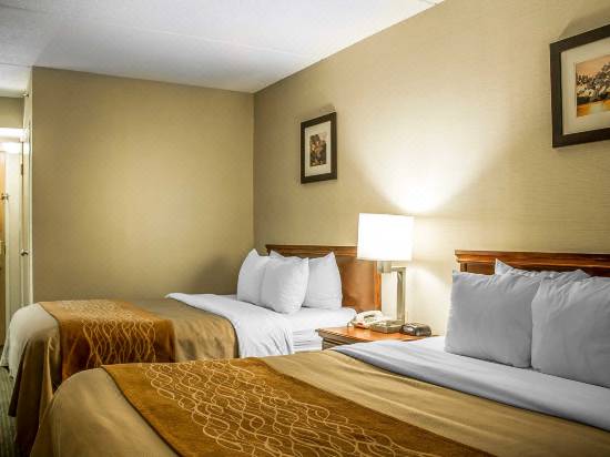 Comfort Inn Suites Wilkes Barre Arena Wilkes Barre Hotel