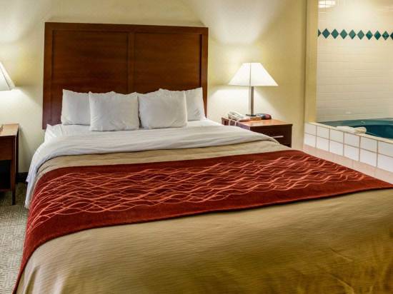 Comfort Inn Lexington Southeast Hotel Reviews And Room Rates