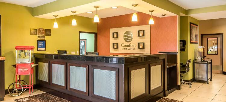 近欢闹世界舒适套房酒店(Comfort Inn & Suites Kansas City - Northeast)图片