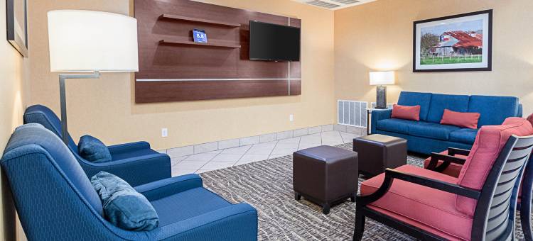 舒适套房酒店(Comfort Suites)图片