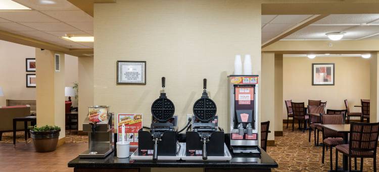 凯艺套房酒店(Quality Inn & Suites)图片