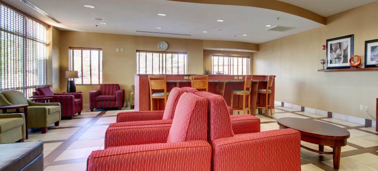 机场舒适套房酒店(Comfort Suites Airport)图片