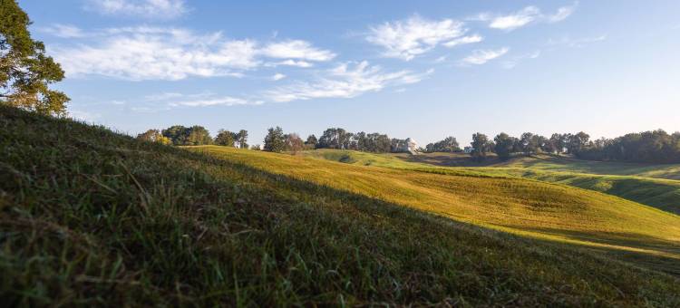 希尔顿欢朋套房酒店-维克斯堡(Hampton Inn & Suites Vicksburg)图片