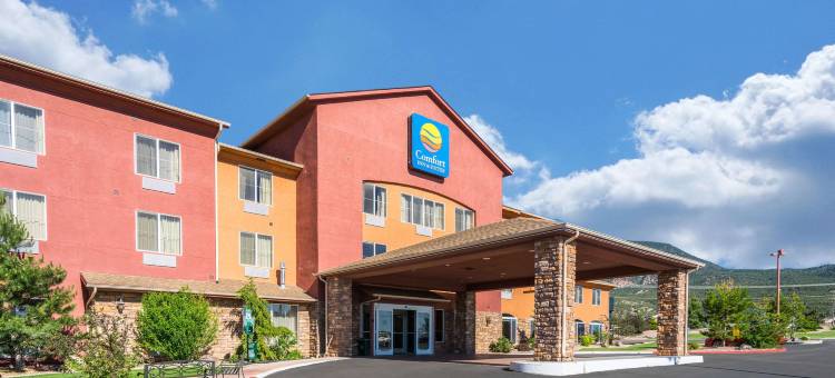 舒适套房(Comfort Inn & Suites)图片