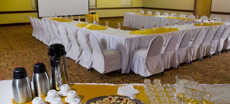 华瑞兹城假日酒店(Holiday Inn Ciudad Juarez)图片