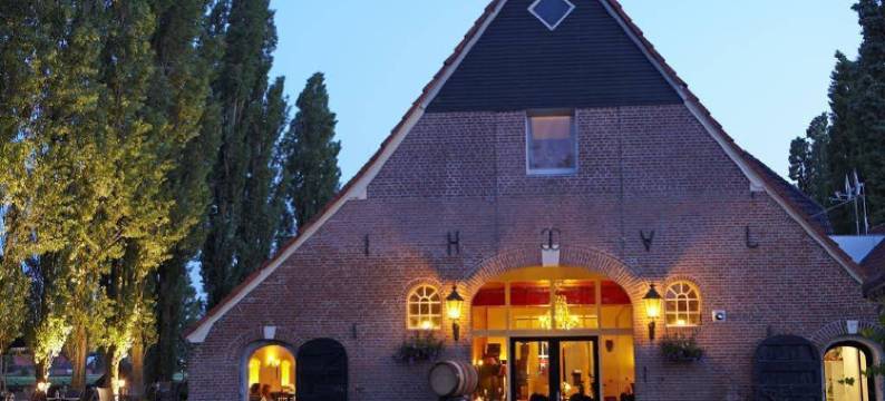 哈维扎特卡尔贝迪姆(Havezathe Carpe Diem)图片