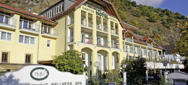 迪恩施泰因普菲费尔加藤酒店&酒庄(Gartenhotel & Weingut Pfeffel Dürnstein)图片
