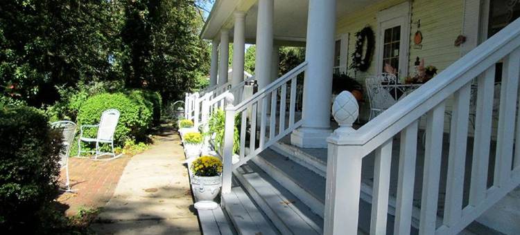 Yellow Turtle Inn图片