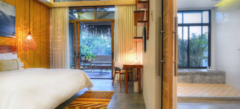 格莱迪伊瓜纳冲浪酒店(The Gilded Iguana)图片