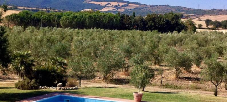 吉拉索莱特尔祖洛酒店(Il Girasole Terzuolo)图片