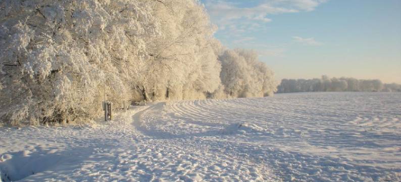 艾尔维霍威尔布尔(Erve Höwerboer)图片