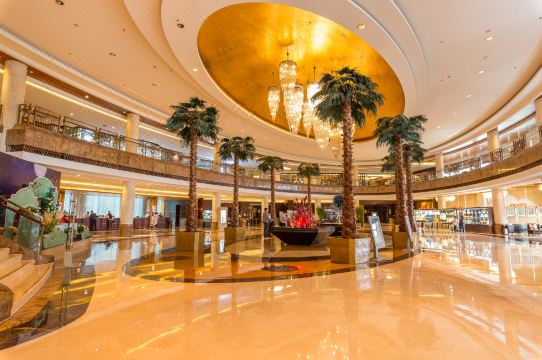 徐州五星级饭店徐州开元名都大酒店常州的几个不是五星级