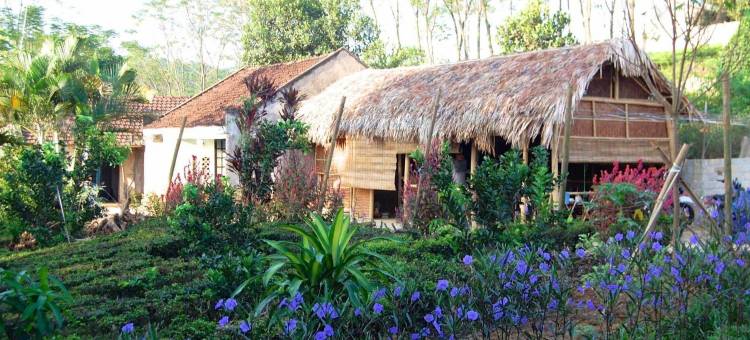 巴威家庭旅馆(Family Homestay Bavi)图片