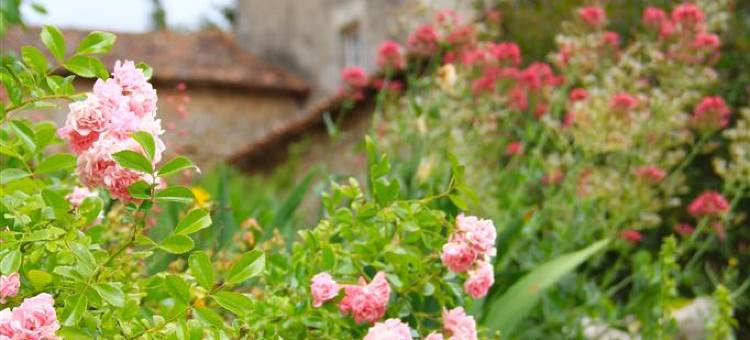 佩里格尼城堡原生酒店(Château de Périgny, the Originals Relais)图片