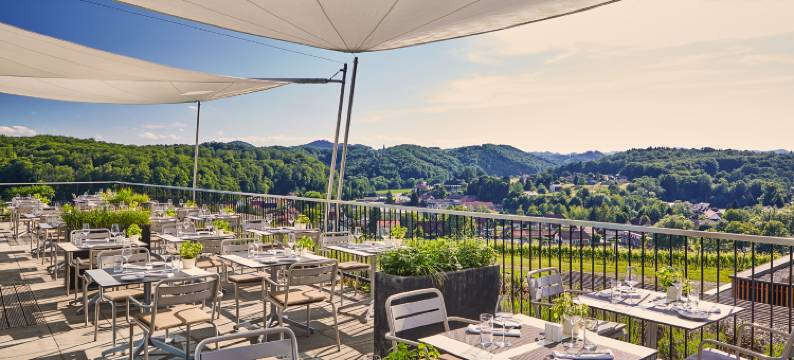 苏德斯特马克路易斯葡萄酒水疗度假酒店(Loisium Wine & Spa Resort Sudsteiermark)图片