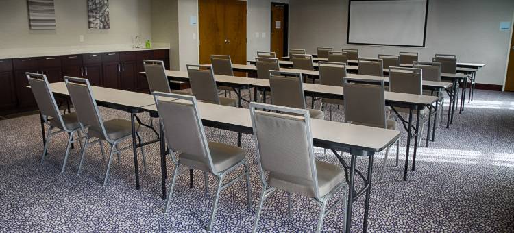 悉尼智选假日套房酒店(Holiday Inn Express & Suites Sidney)图片