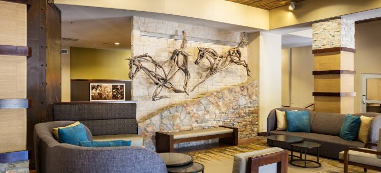 Holiday Inn 圣安东尼奥NW - 海洋世界区(Holiday Inn San Antonio Seaworld)图片