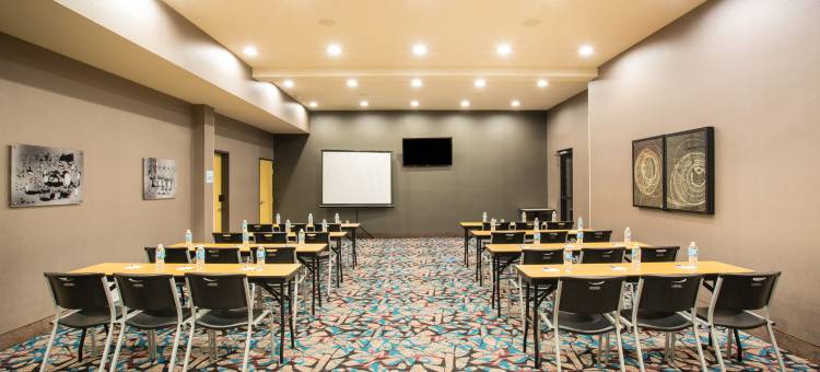 智选假日套房酒店阿马里洛(西)(Holiday Inn Express & Suites Amarillo West)图片