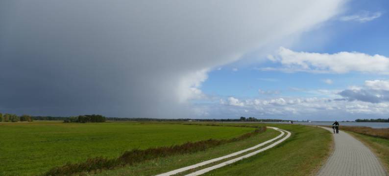马克思伽尼酒店(Hotel-Marks-Garni)图片