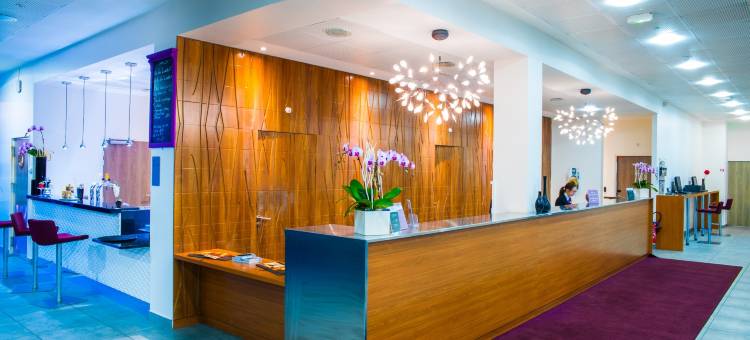 巴黎韦利济贝斯特韦斯特优质酒店(Best Western Plus Paris Velizy)图片