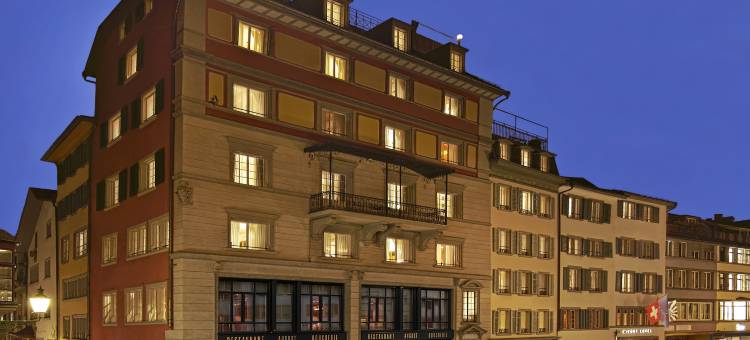 威德酒店(Widder Hotel - Zurichs Luxury Hideaway)图片