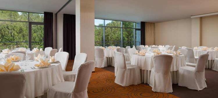 莫斯科谢列梅捷沃机场喜来登酒店(Sheraton Skypoint Luxe)图片